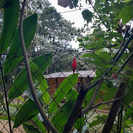 Sitio Das Bromelias Cachoeira Do Tombador Ubatuba Luaran gambar