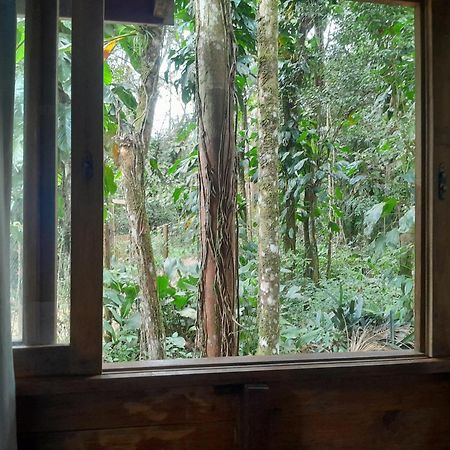 Sitio Das Bromelias Cachoeira Do Tombador Ubatuba Luaran gambar