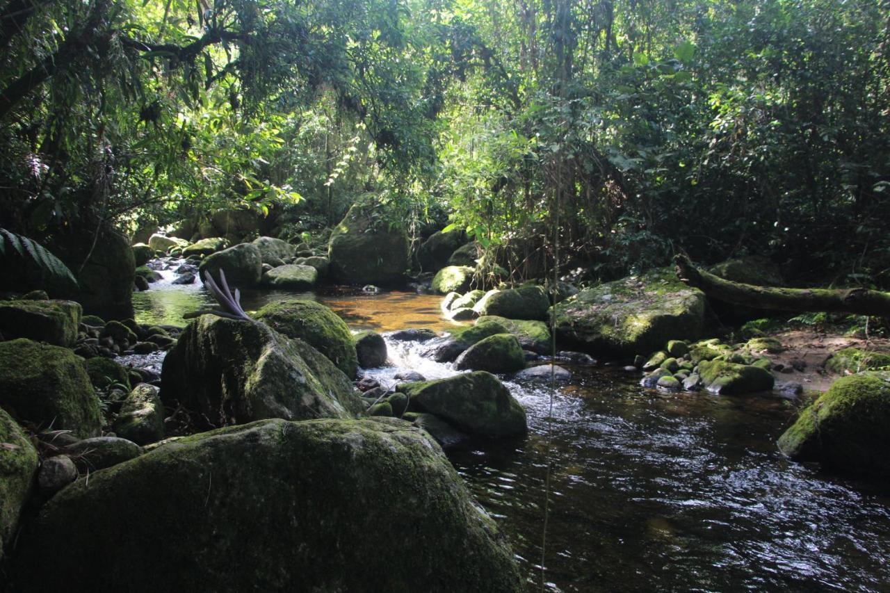 Sitio Das Bromelias Cachoeira Do Tombador Ubatuba Luaran gambar