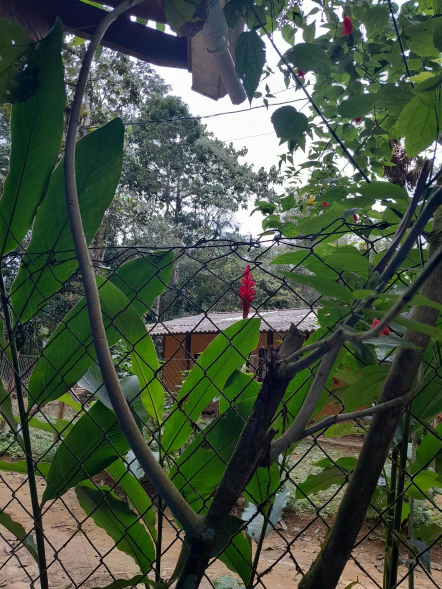 Sitio Das Bromelias Cachoeira Do Tombador Ubatuba Luaran gambar